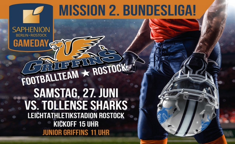 Grif Videoscreen15 4.indd