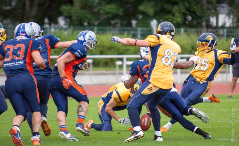 Fg Block Griffins Hp