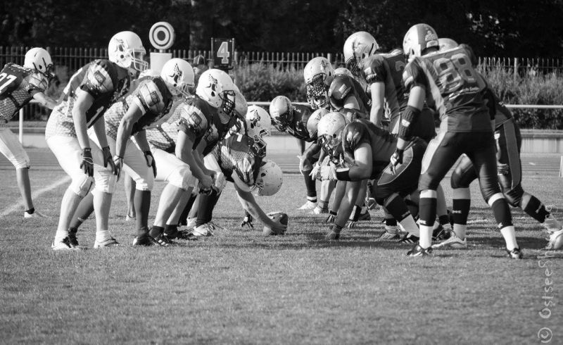 Griffins Vs Vandals Hp