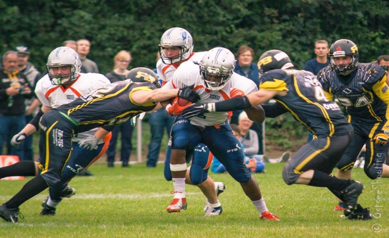 Ritterhude Grifins Hp