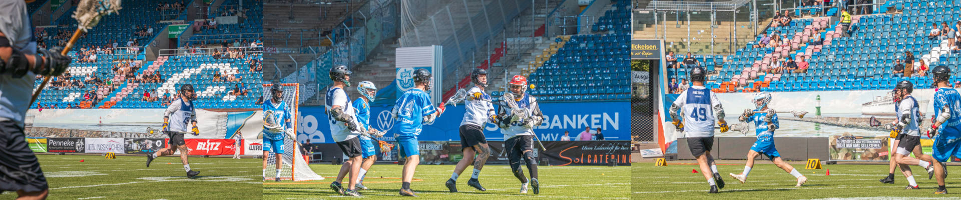 Lacrosse Seals Rostock Header 01