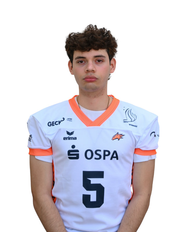 5 David Alejandro Swarton Ordonez Db